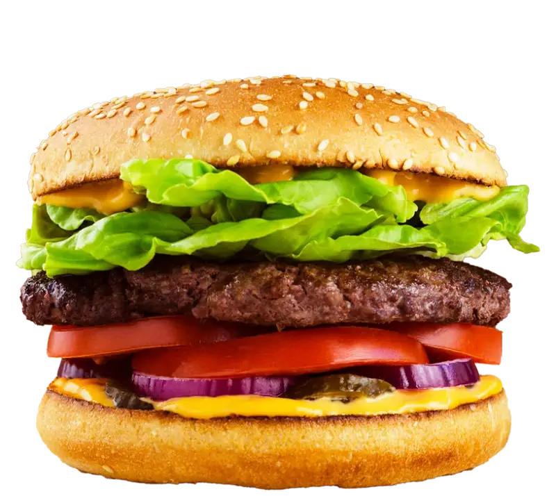 Hamburguesa Catracha