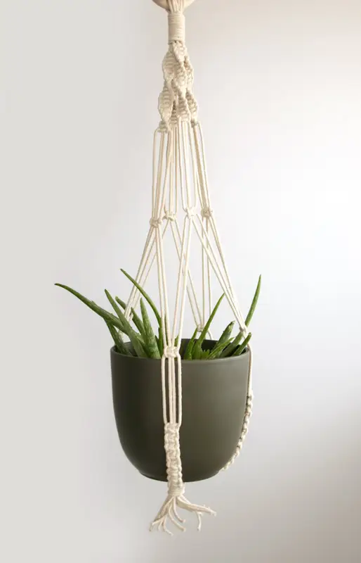 Macramé Colgante Planta